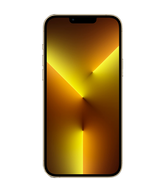 iPhone 13 Pro Max Repair