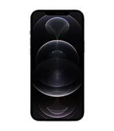 iPhone 12 Pro Max Repair