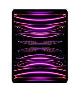 iPad Pro 11" 4th Gen Repair (2022)