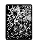 11-inch iPad Pro (2022) Glass & LCD Repair iFixYouri