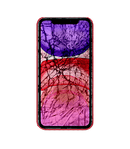iPhone 11 Glass Repair - iFixYouri